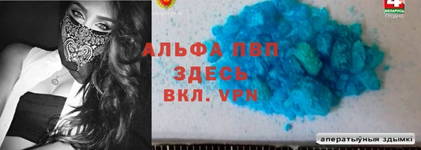 гашик Гусев