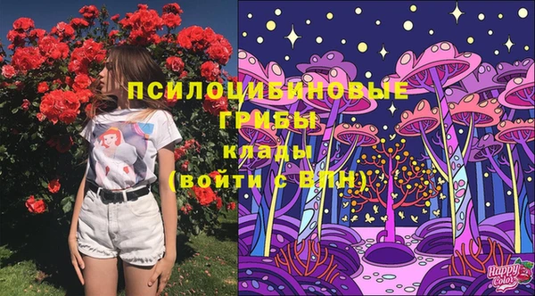 гашиш Гусь-Хрустальный