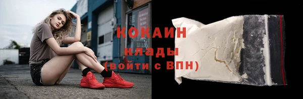 гашик Гусев