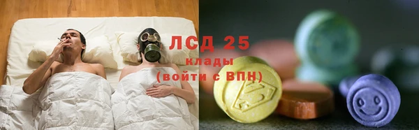 гашик Гусев