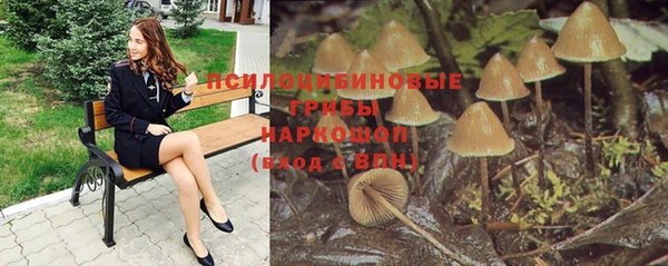 гашик Гусев