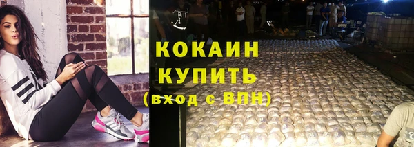 гашик Гусев