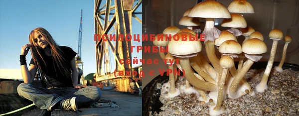 мяу мяу мука Гусиноозёрск