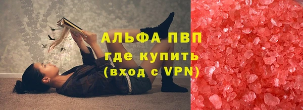 гашик Гусев