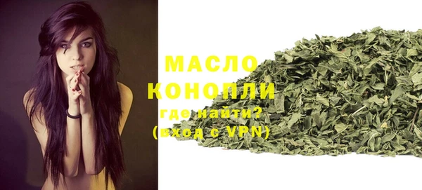 гашик Гусев